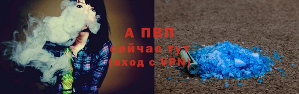 экстази Бородино
