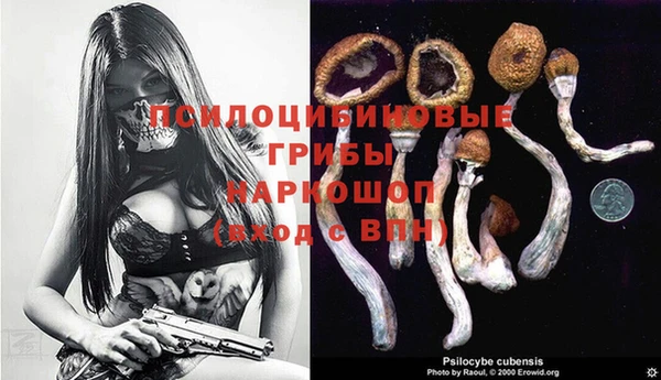 экстази Бородино