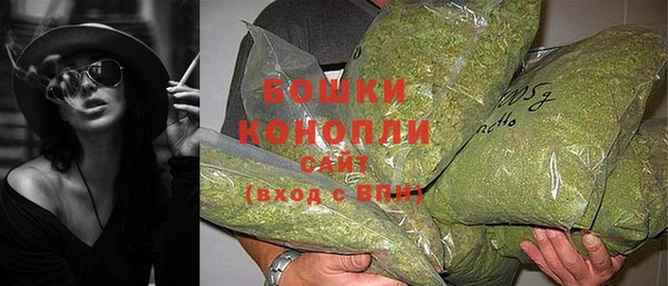 экстази Бородино