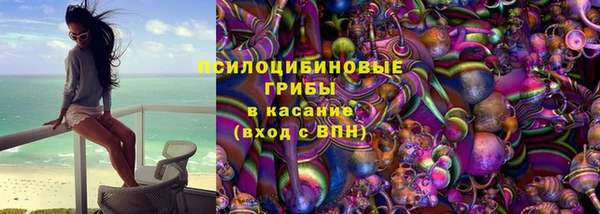 экстази Бородино